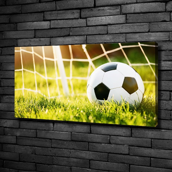 Canvas wall art Ball in the goal