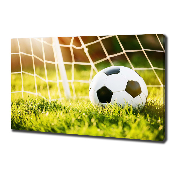 Canvas wall art Ball in the goal