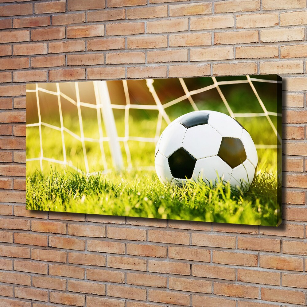 Canvas wall art Ball in the goal