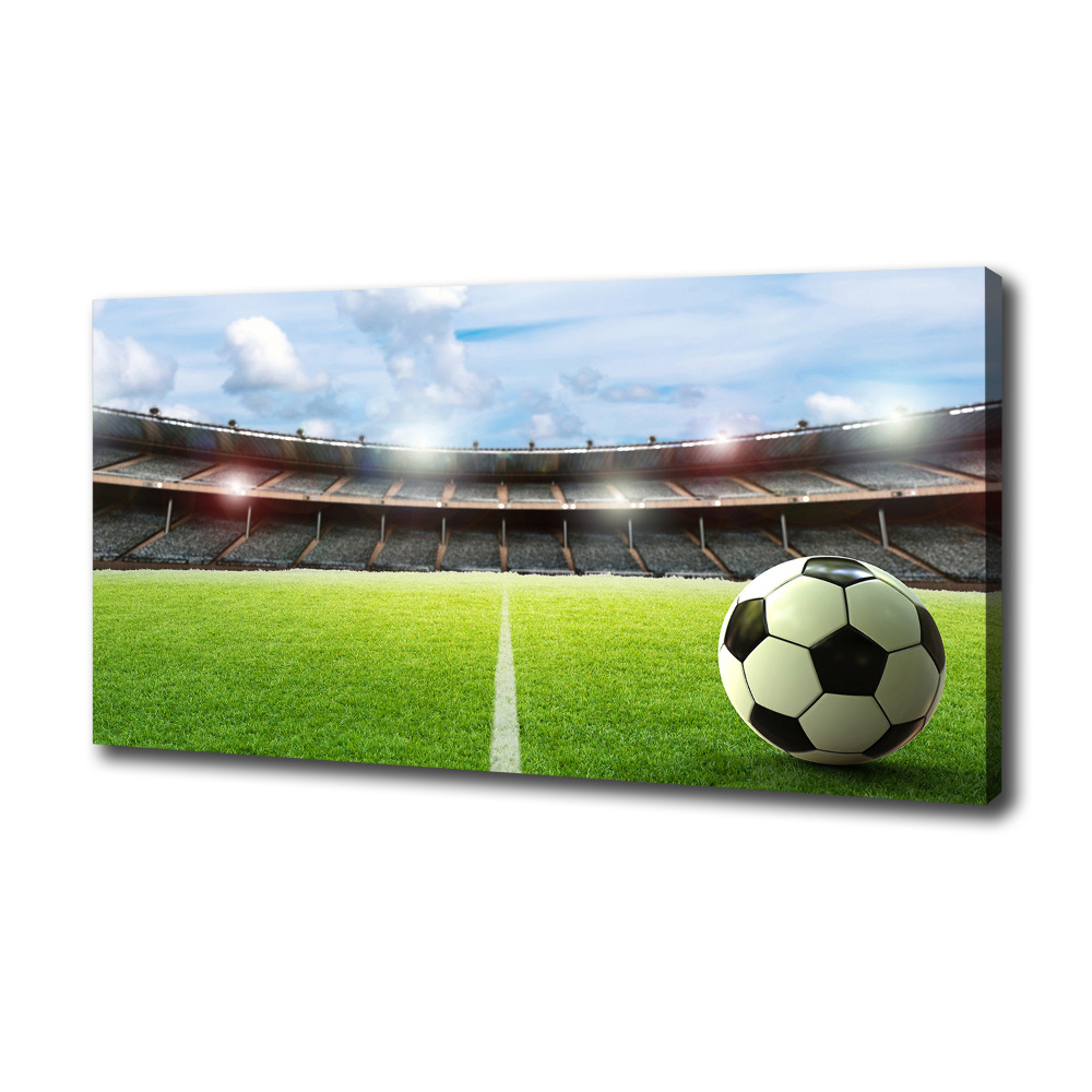 Canvas wall art Ball on the pitch