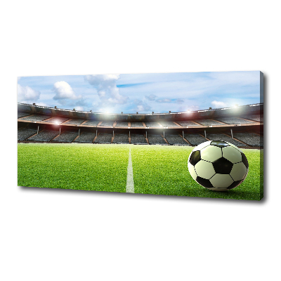 Canvas wall art Ball on the pitch