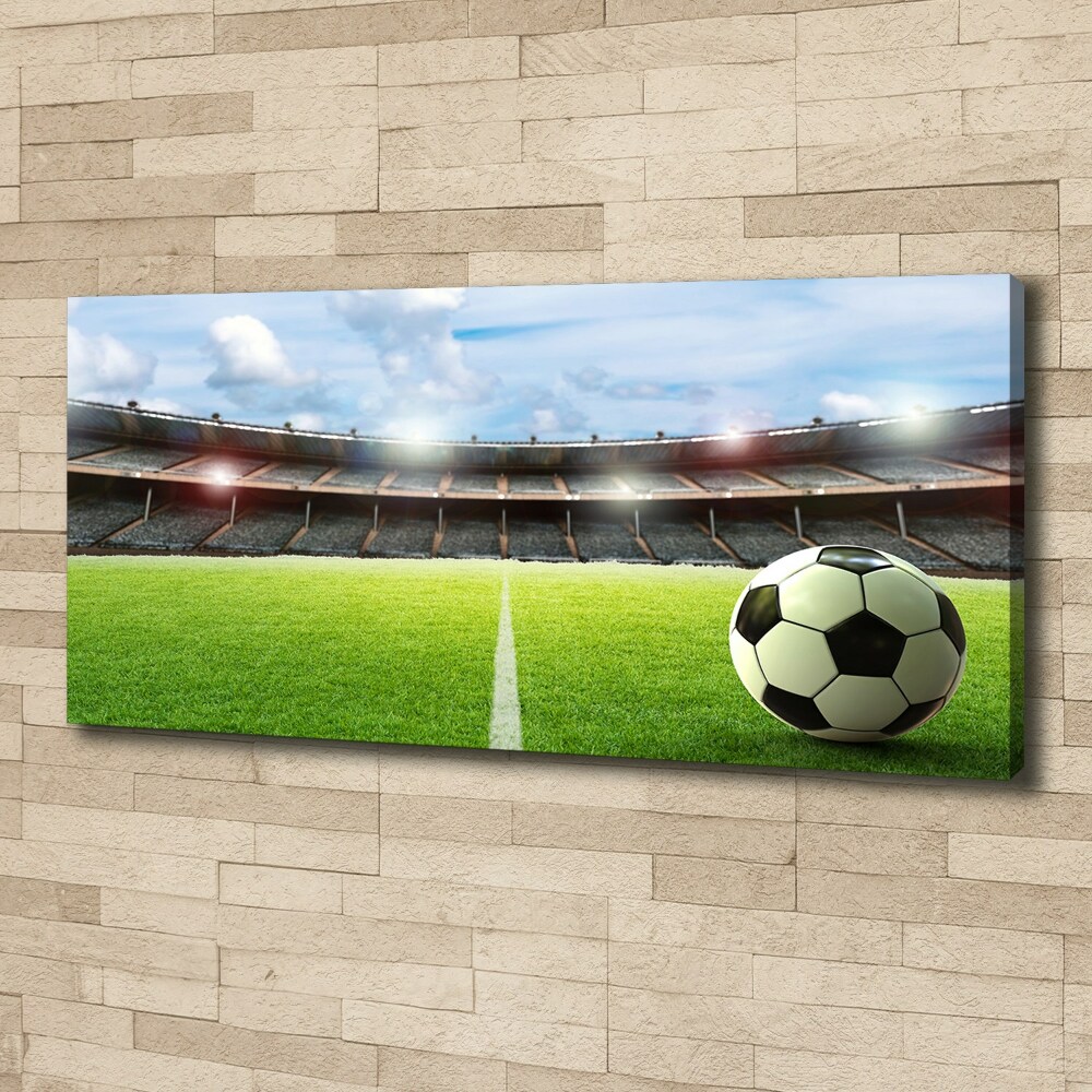 Canvas wall art Ball on the pitch