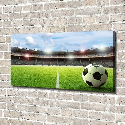 Canvas wall art Ball on the pitch