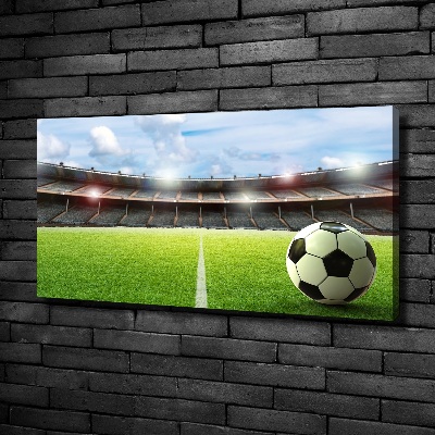 Canvas wall art Ball on the pitch