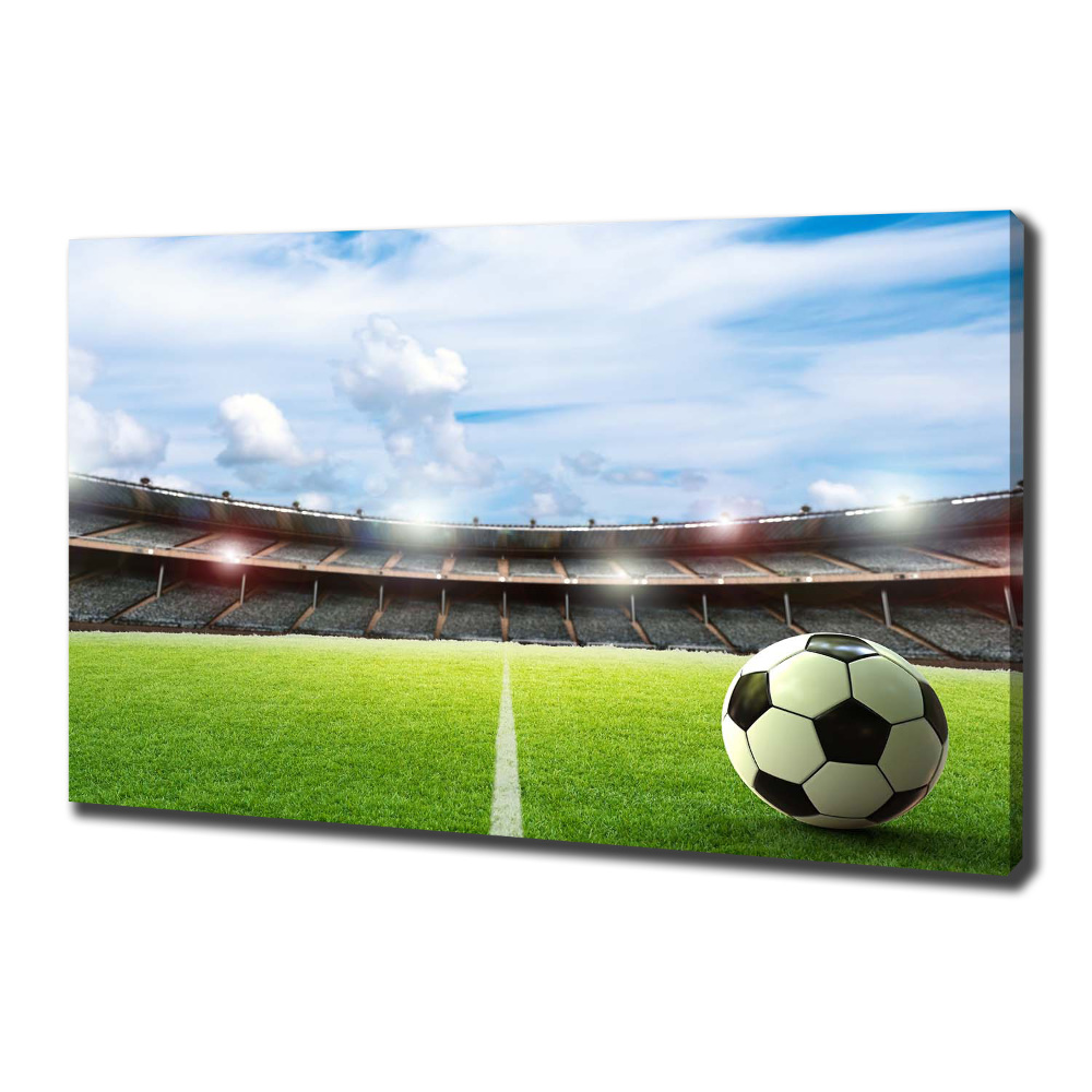 Canvas wall art Ball on the pitch