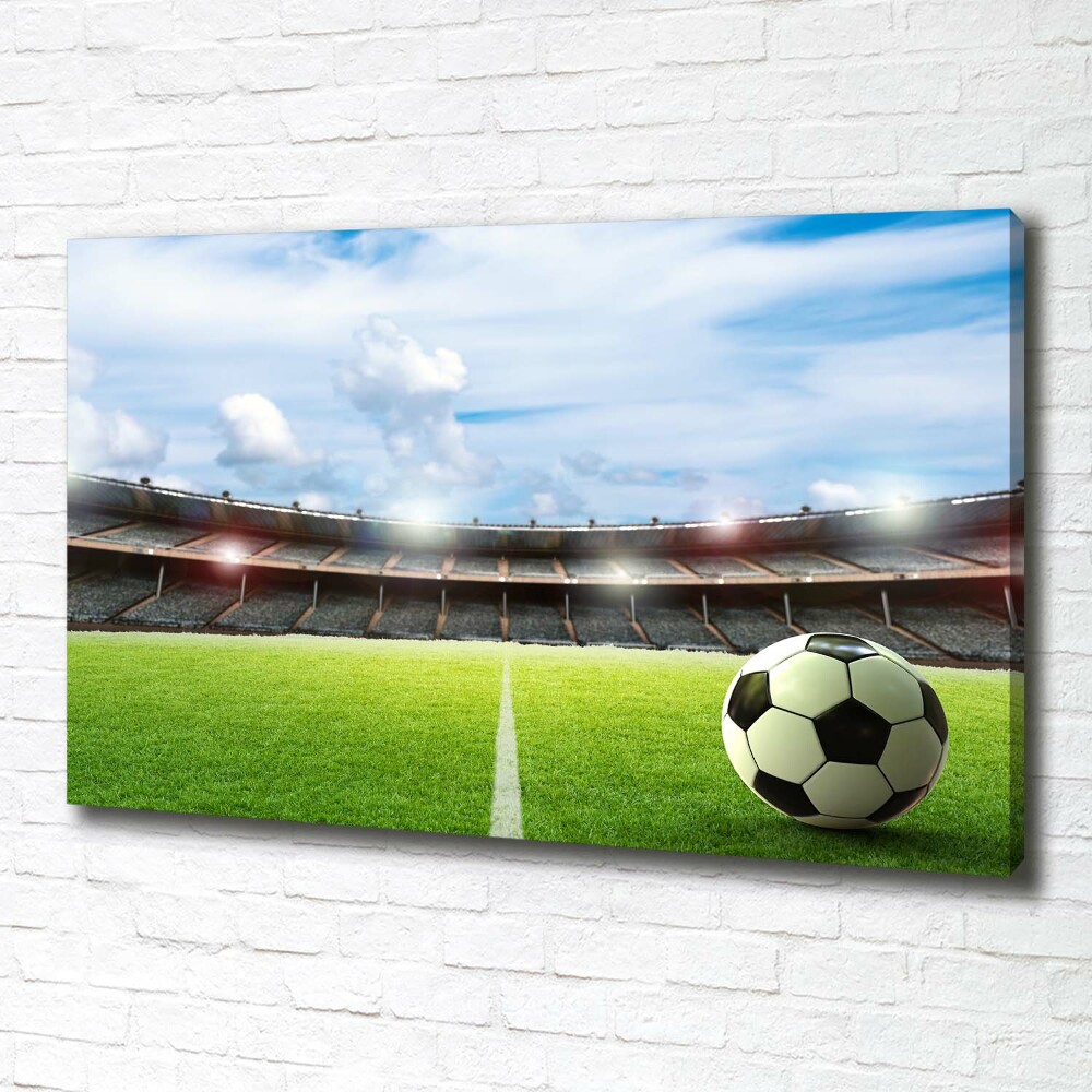 Canvas wall art Ball on the pitch