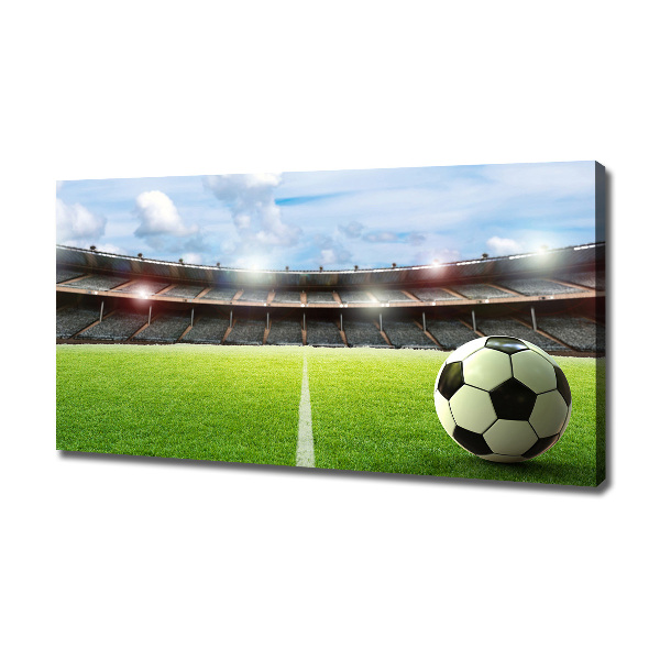 Canvas wall art Ball on the pitch