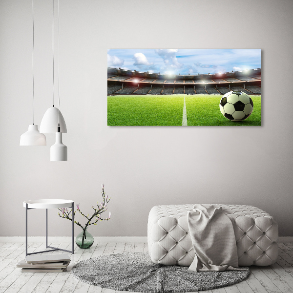 Canvas wall art Ball on the pitch