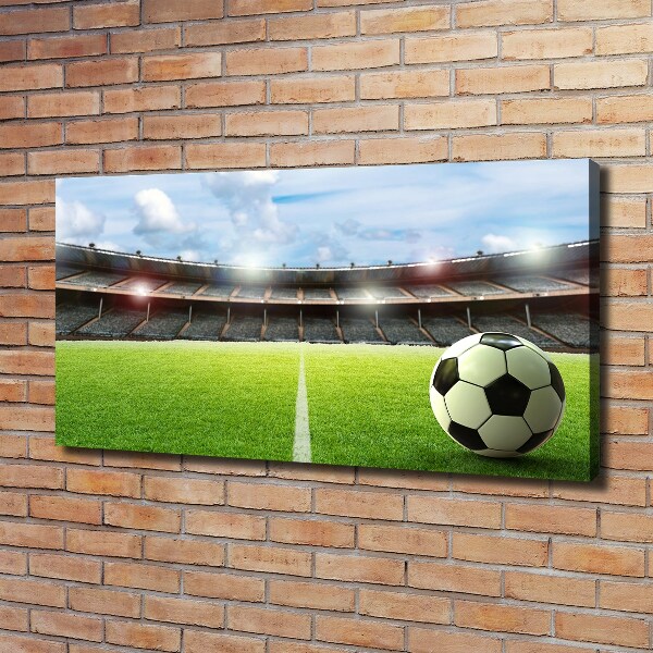 Canvas wall art Ball on the pitch