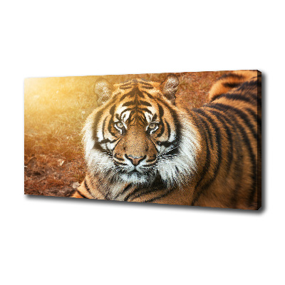 Canvas wall art Bengal tiger