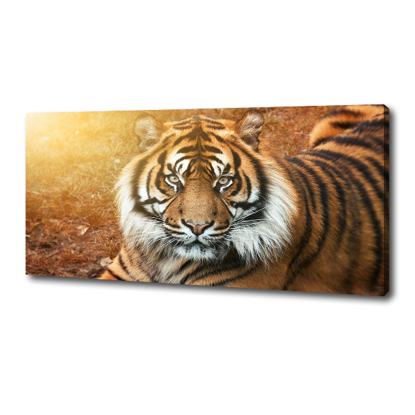 Canvas wall art Bengal tiger