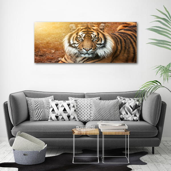 Canvas wall art Bengal tiger