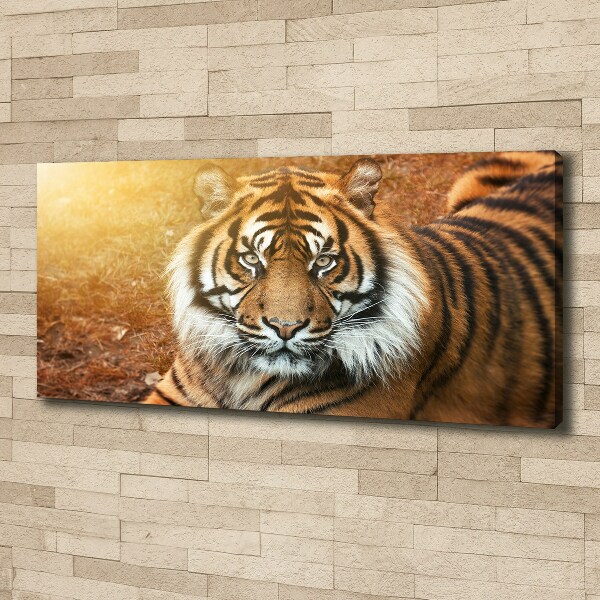 Canvas wall art Bengal tiger