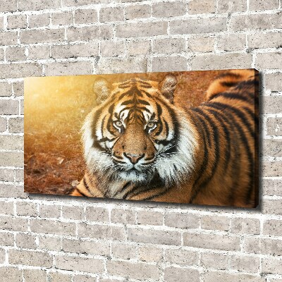 Canvas wall art Bengal tiger