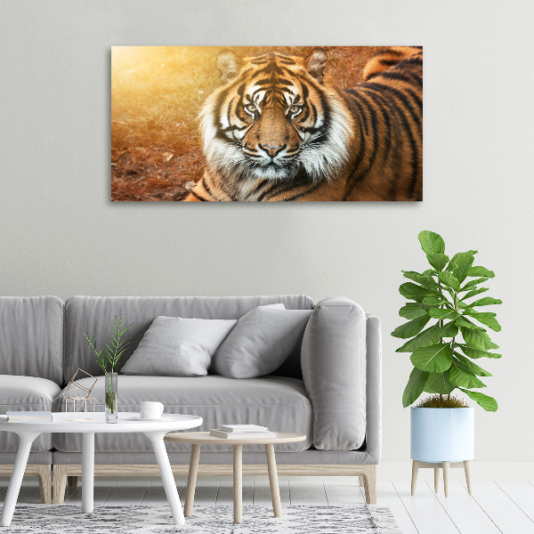 Canvas wall art Bengal tiger