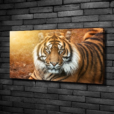 Canvas wall art Bengal tiger