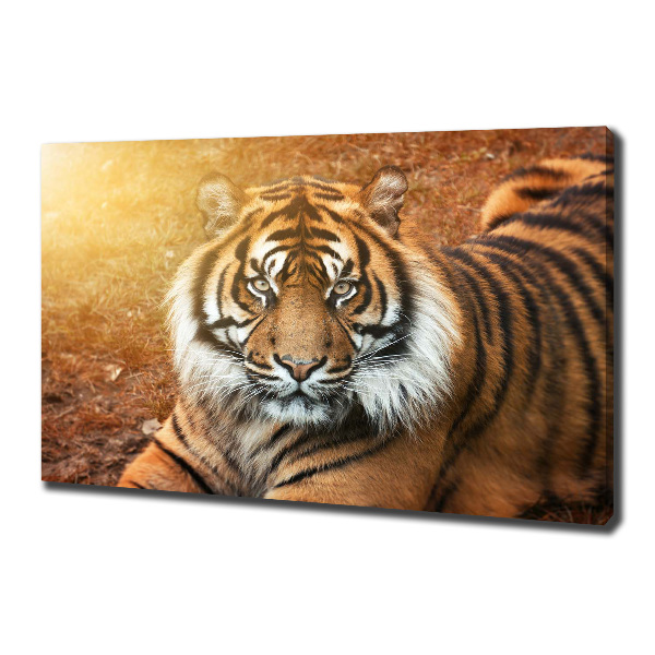 Canvas wall art Bengal tiger