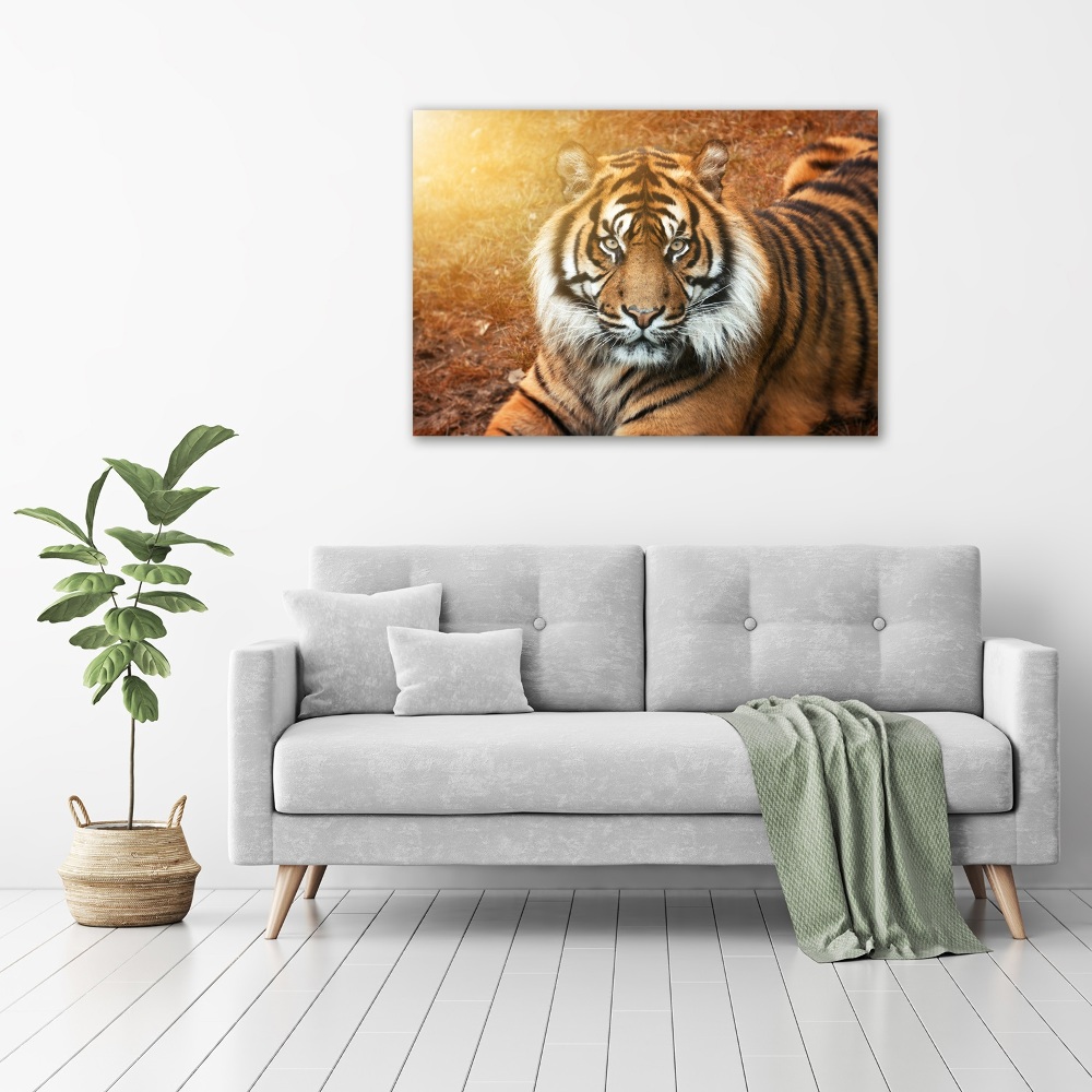 Canvas wall art Bengal tiger