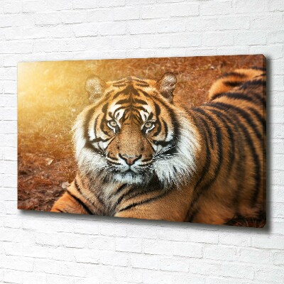 Canvas wall art Bengal tiger