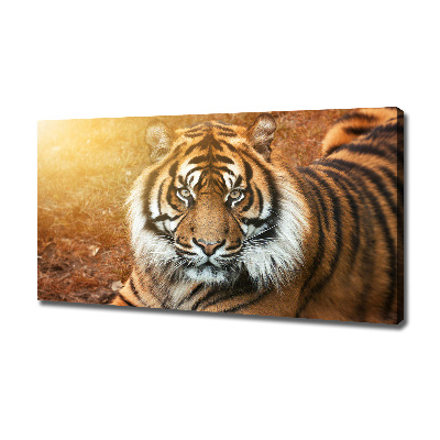 Canvas wall art Bengal tiger