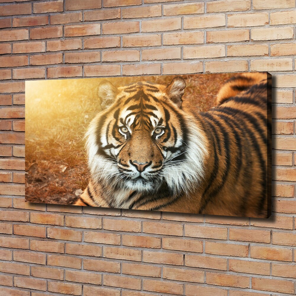 Canvas wall art Bengal tiger