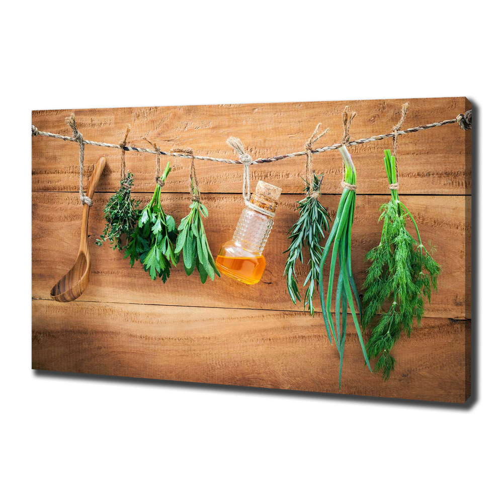 Canvas wall art Herbs on a string