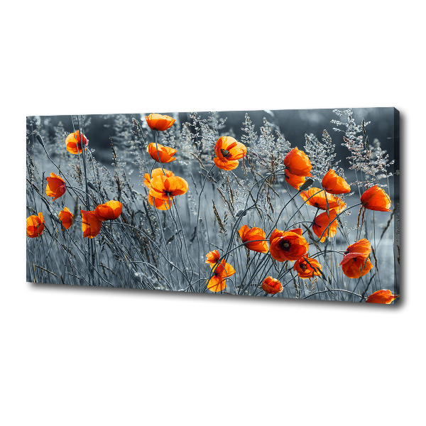 Canvas wall art Field poppy seed