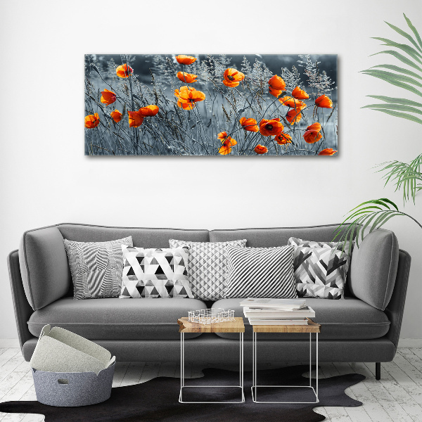 Canvas wall art Field poppy seed