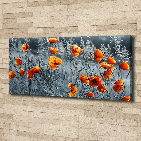 Canvas wall art Field poppy seed