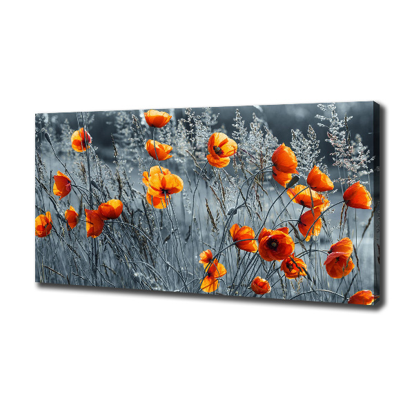 Canvas wall art Field poppy seed