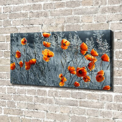 Canvas wall art Field poppy seed