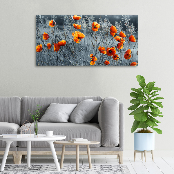 Canvas wall art Field poppy seed