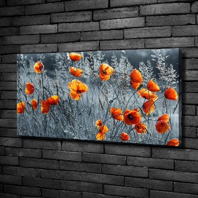 Canvas wall art Field poppy seed