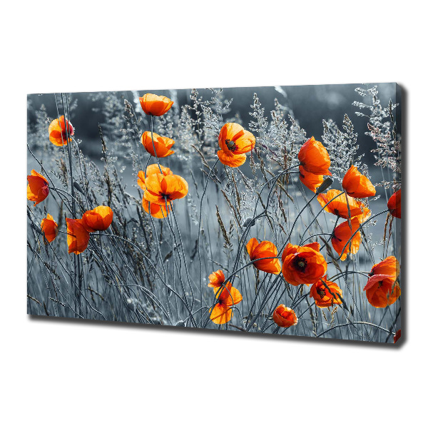 Canvas wall art Field poppy seed