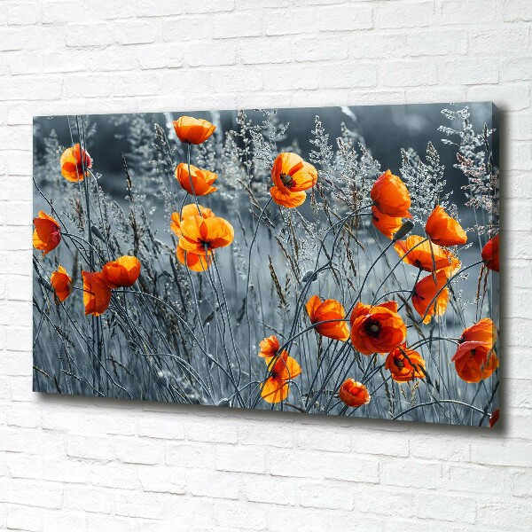 Canvas wall art Field poppy seed