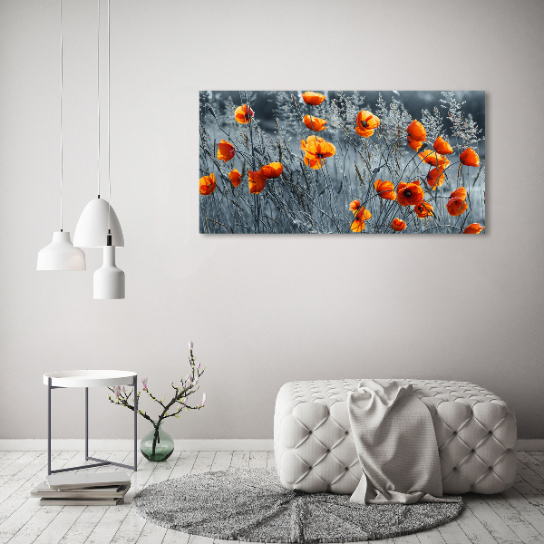 Canvas wall art Field poppy seed