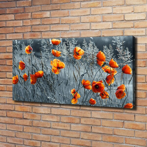 Canvas wall art Field poppy seed