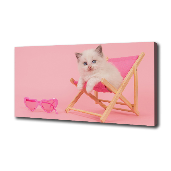 Cat on a sun lounger