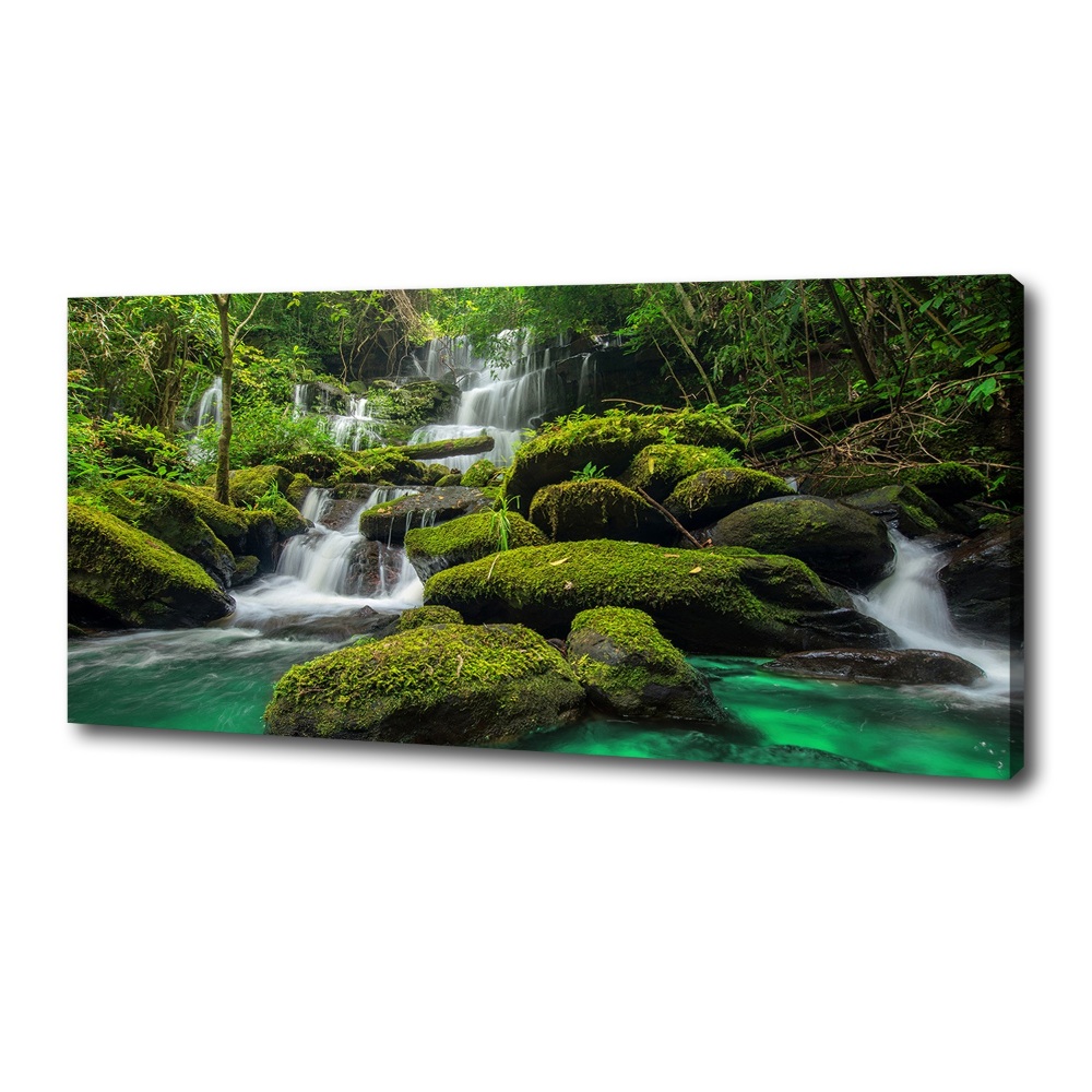 Canvas wall art Waterfall in the forest