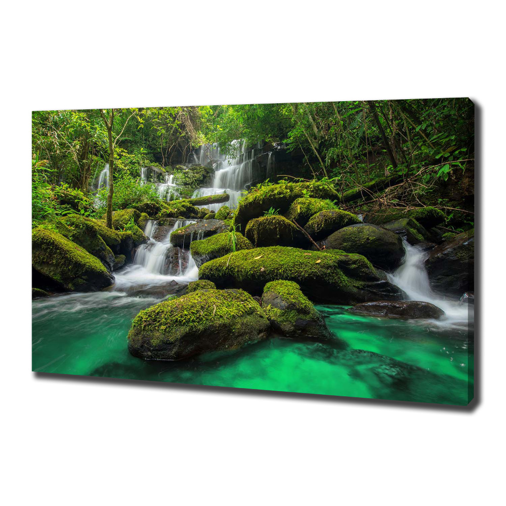 Canvas wall art Waterfall in the forest