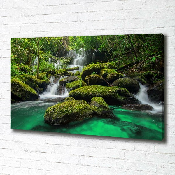 Canvas wall art Waterfall in the forest