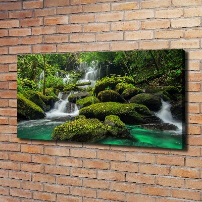 Canvas wall art Waterfall in the forest