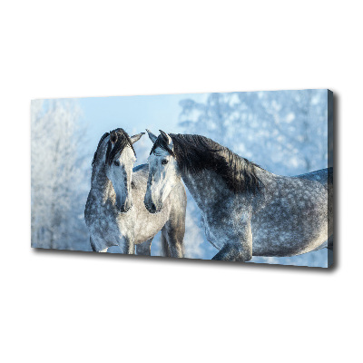 Canvas print Gray horses in winter