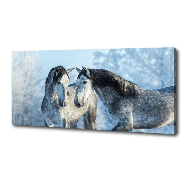 Canvas print Gray horses in winter