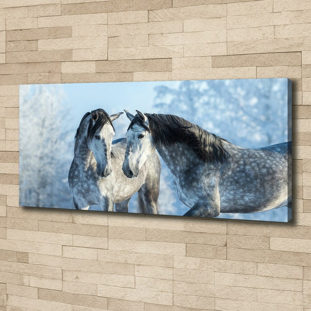 Canvas print Gray horses in winter