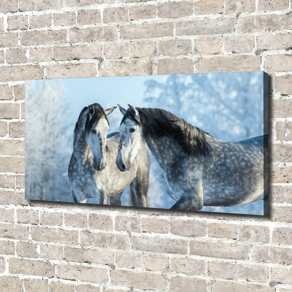 Canvas print Gray horses in winter