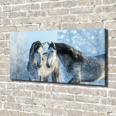 Canvas print Gray horses in winter