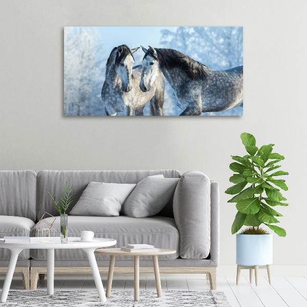 Canvas print Gray horses in winter