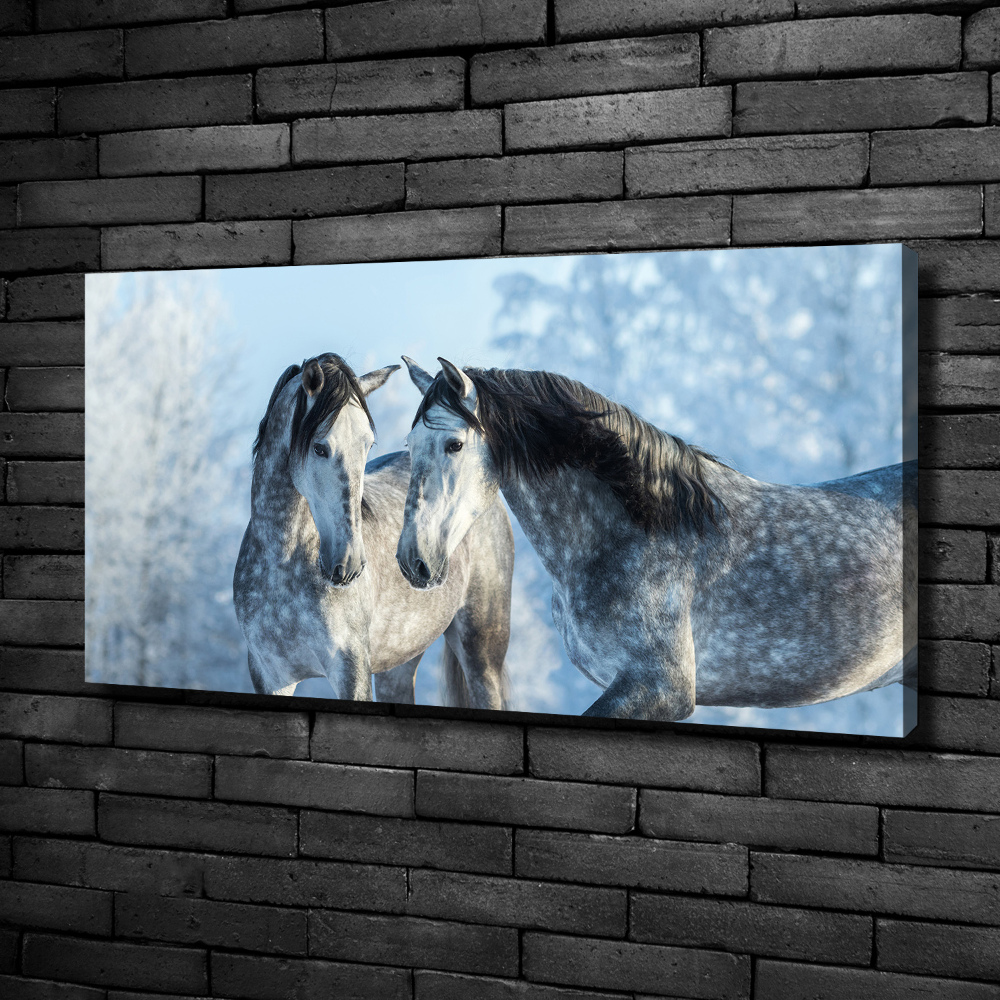 Canvas print Gray horses in winter