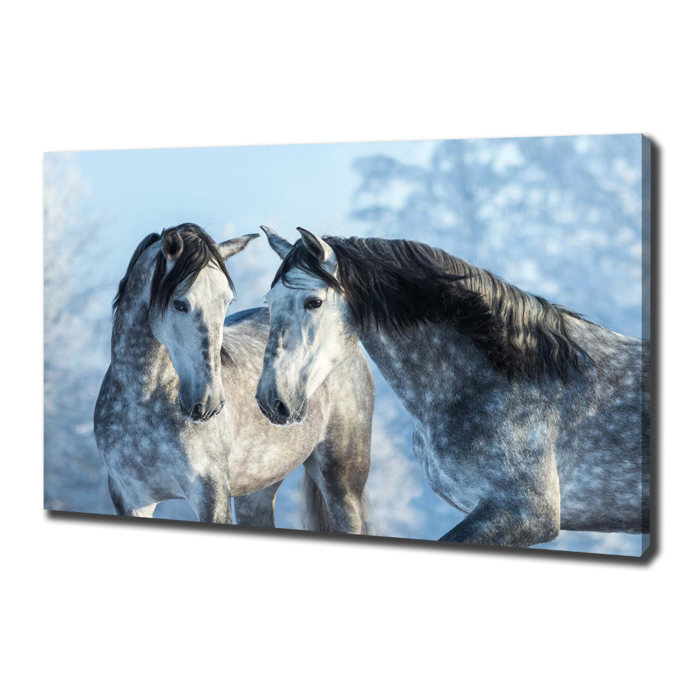 Canvas print Gray horses in winter